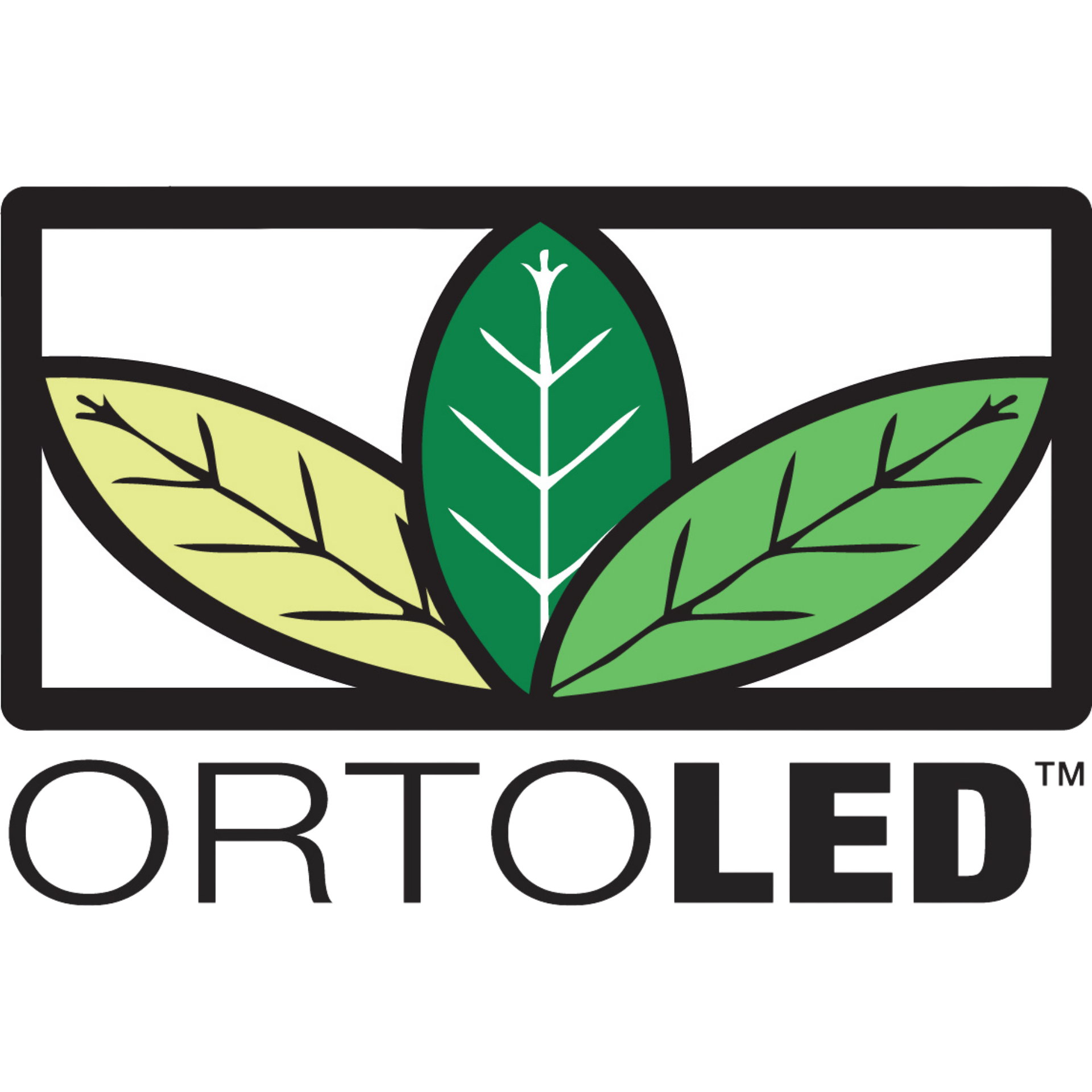 Ortoled